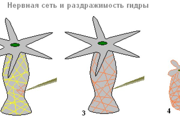 Новый адрес кракен