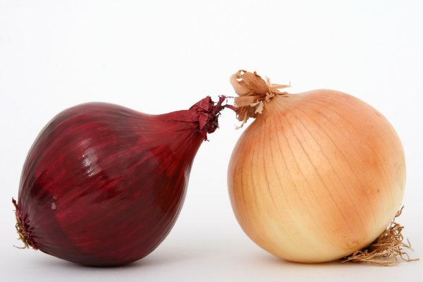 Кракен at сегодня работает ли