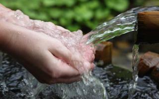 Vloga vode v življenju organizmov Kakšen je pomen vode za žive organizme